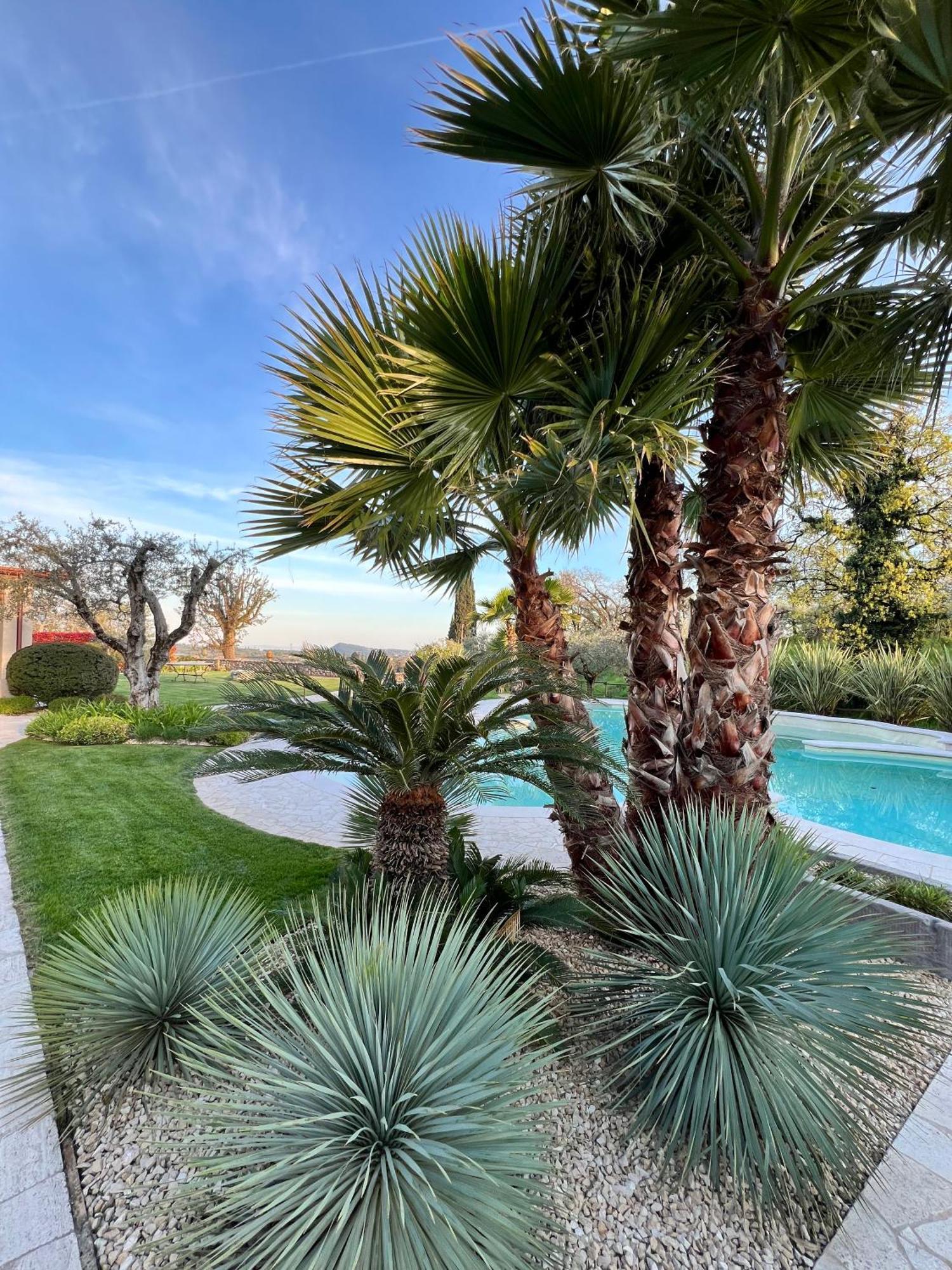 סאלו Villa Mario Resort מראה חיצוני תמונה
